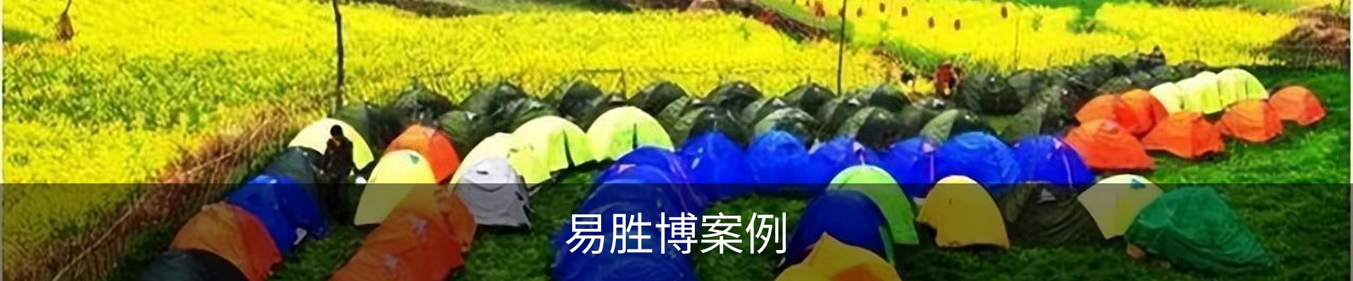 易胜博案例